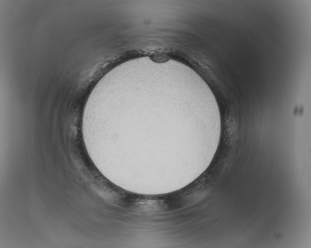 X0000110710499200907101247