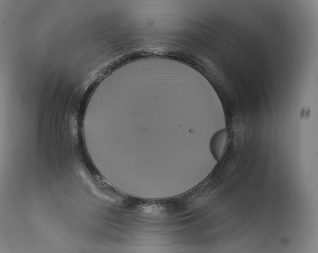 X0000110710500200907101247