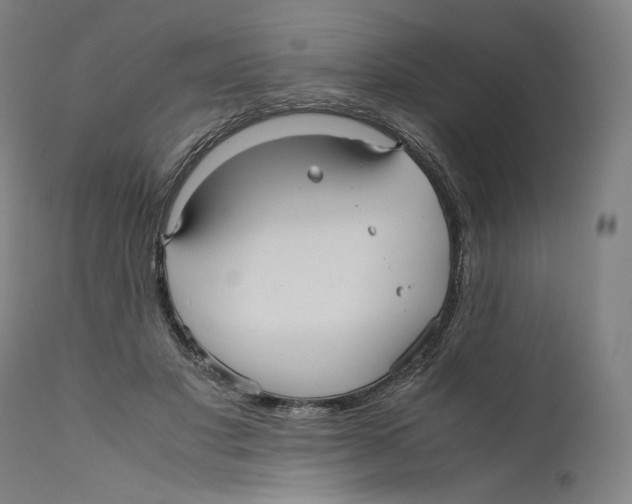 X0000110710501200907101247