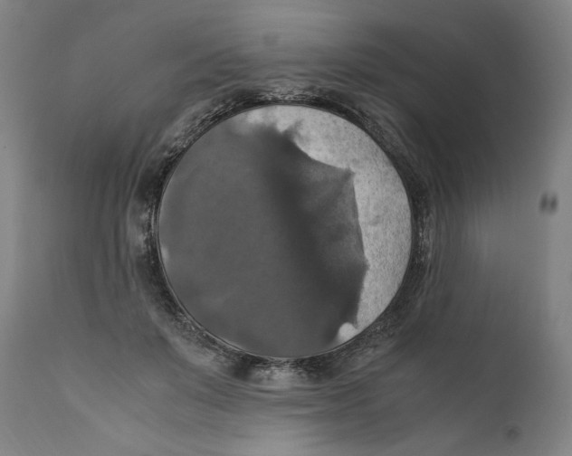 X0000110710503200907101247