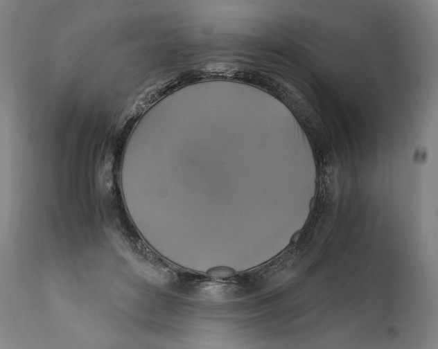 X0000110710504200907101247