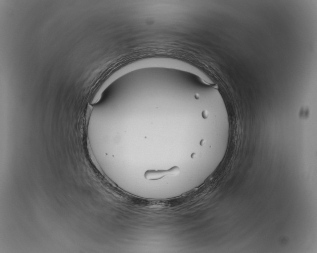 X0000110710505200907101247