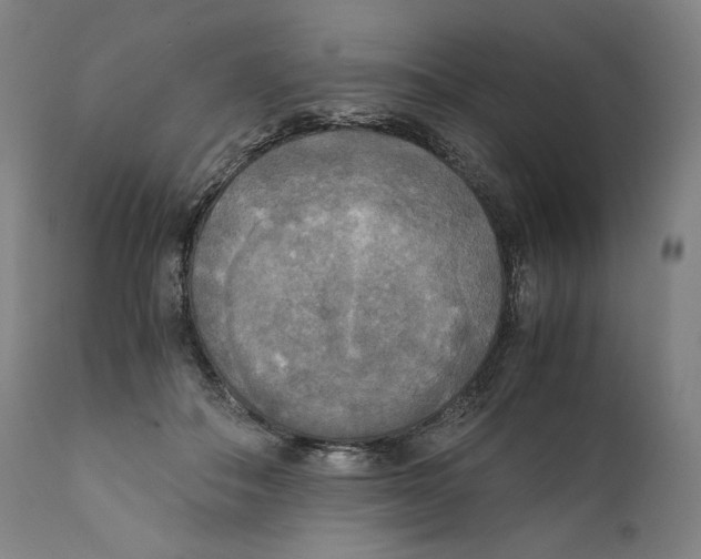 X0000110710506200907101247