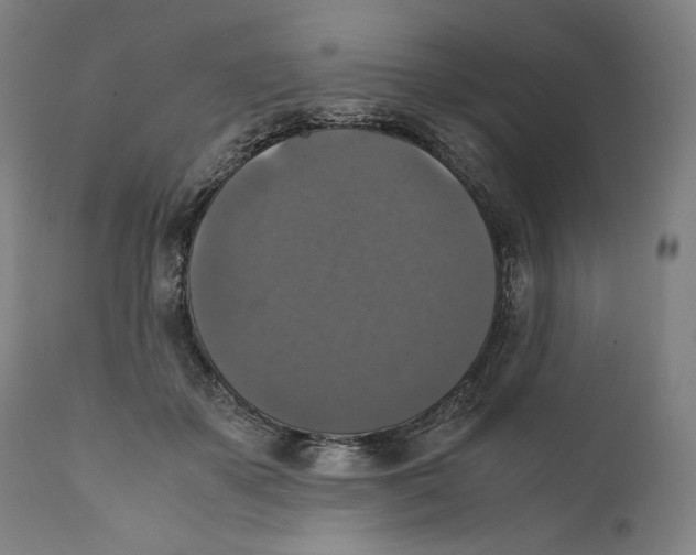 X0000110710507200907101247