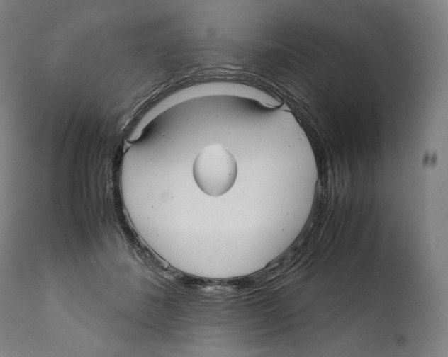 X0000110710508200907101247
