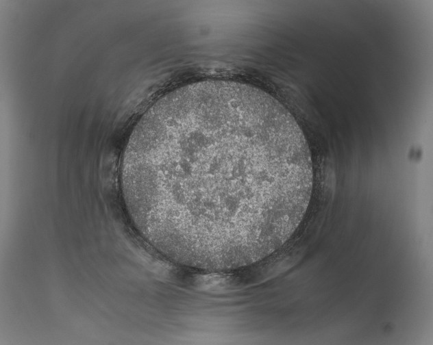 X0000110710511200907101247