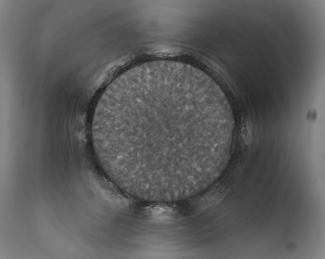 X0000110710512200907101247