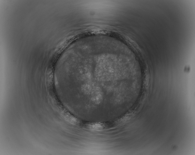 X0000110710513200907101247