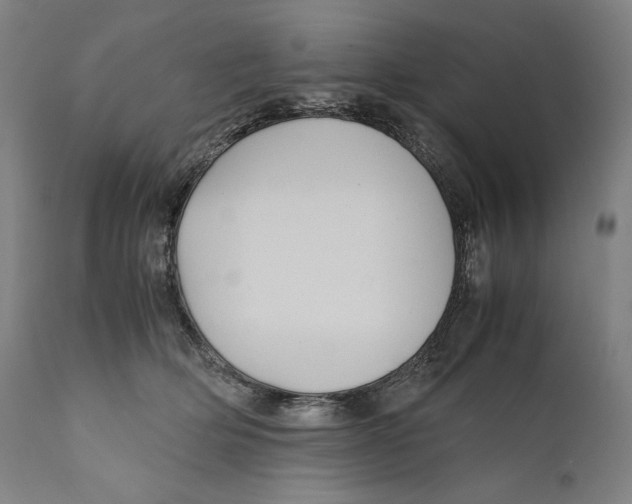 X0000110710514200907101247