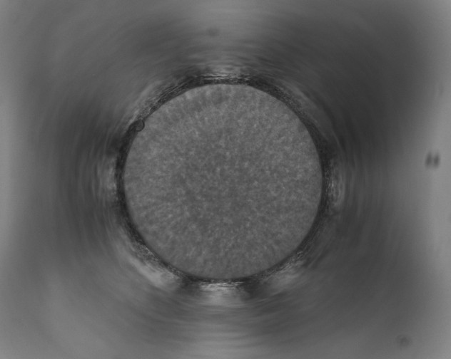 X0000110710516200907101247