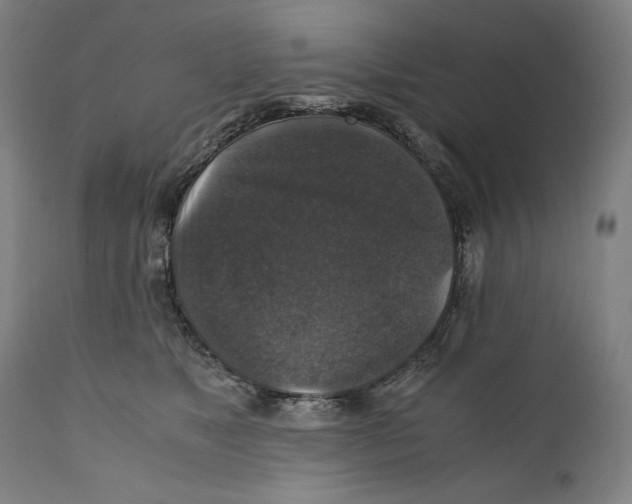 X0000110710517200907101247