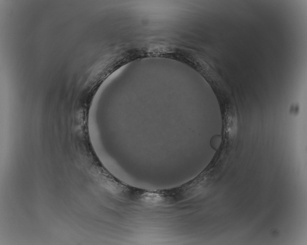 X0000110710519200907101247