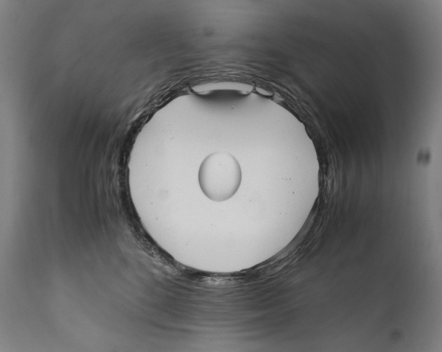 X0000110710520200907101247