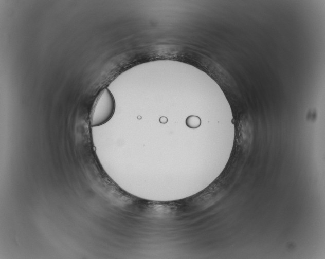 X0000110710522200907101247