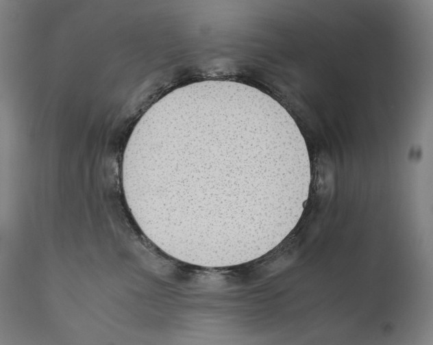 X0000110710523200907101247