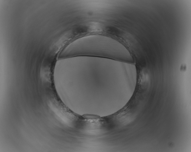 X0000110710524200907101247