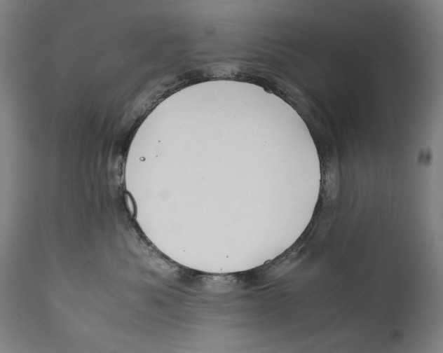 X0000110710525200907101247