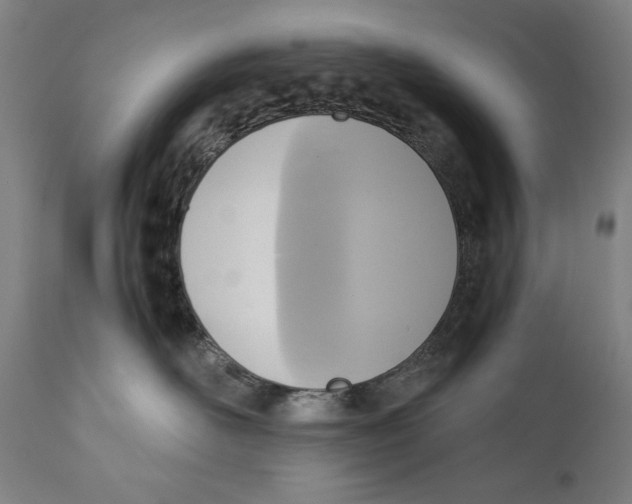 X0000110710526200907101247