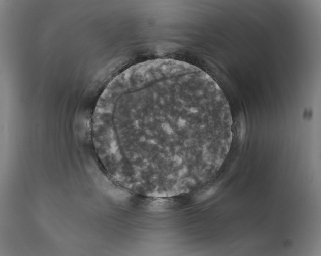 X0000110710527200907101247