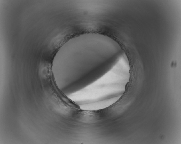 X0000110710528200907101247