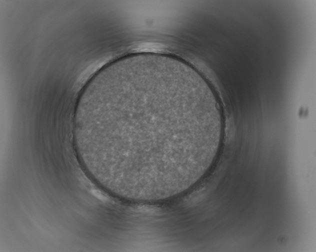 X0000110710529200907101246
