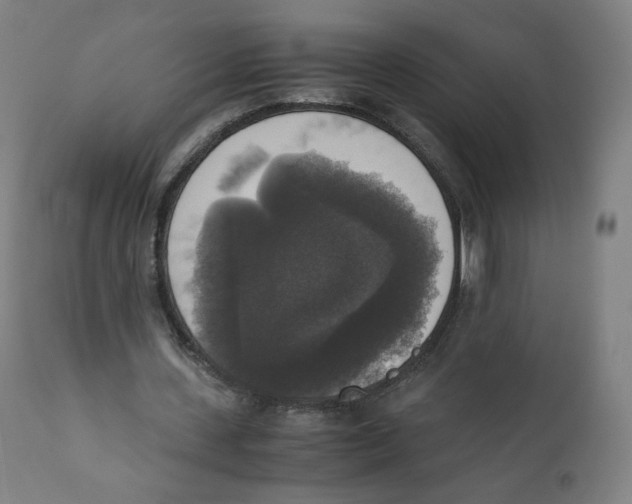 X0000110710531200907101246