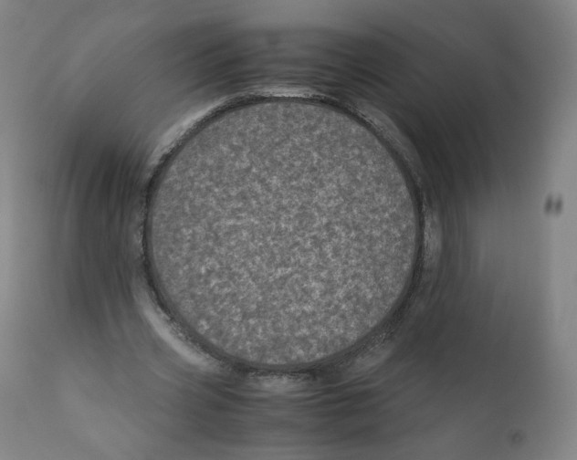 X0000110710533200907101246