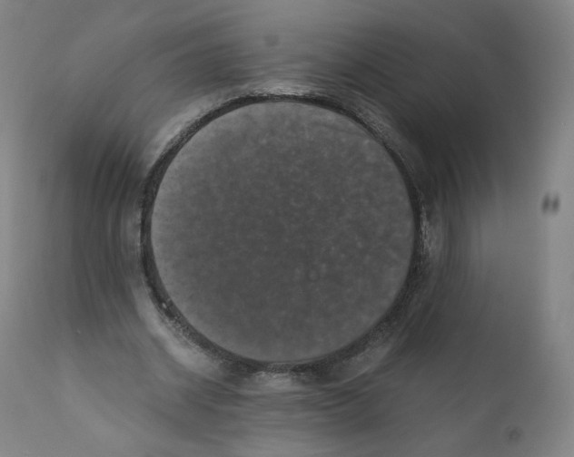 X0000110710534200907101246