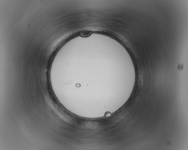 X0000110710535200907101246