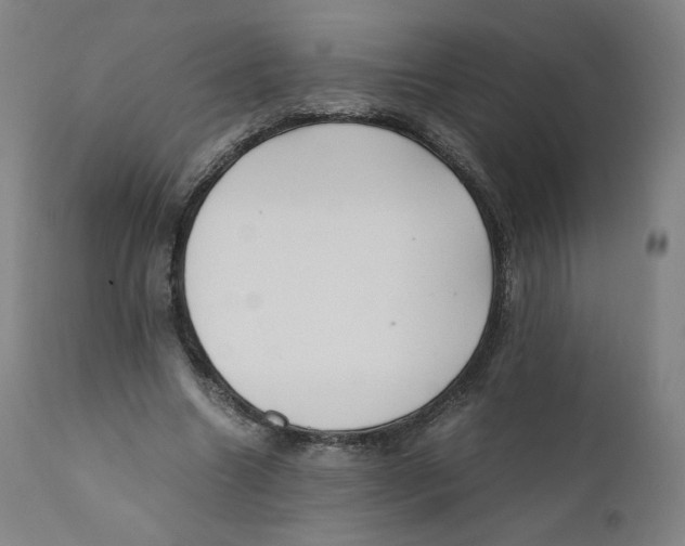 X0000110710538200907101246