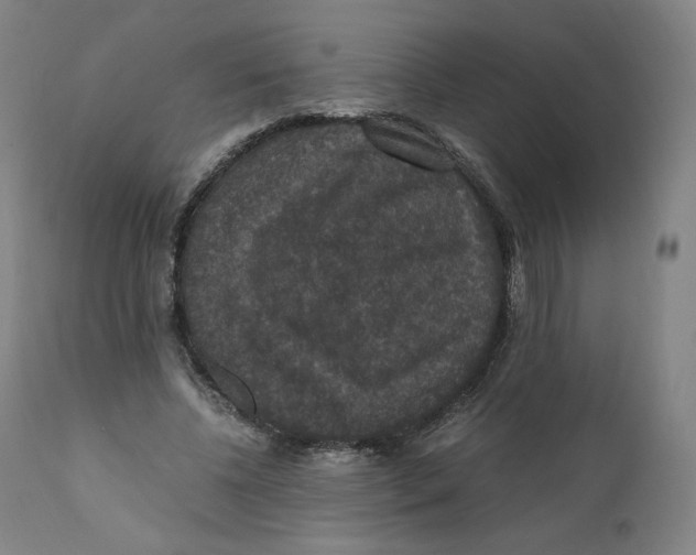 X0000110710540200907101246