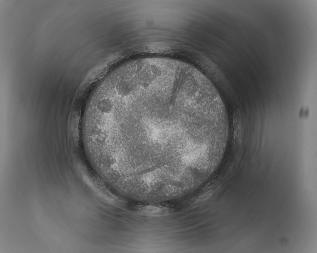 X0000110710542200907101246