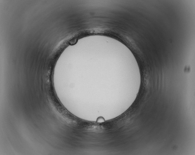 X0000110710543200907101246