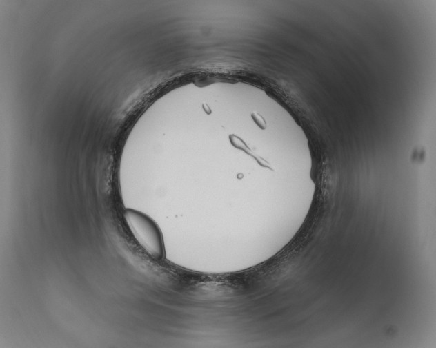 X0000110710544200907101246