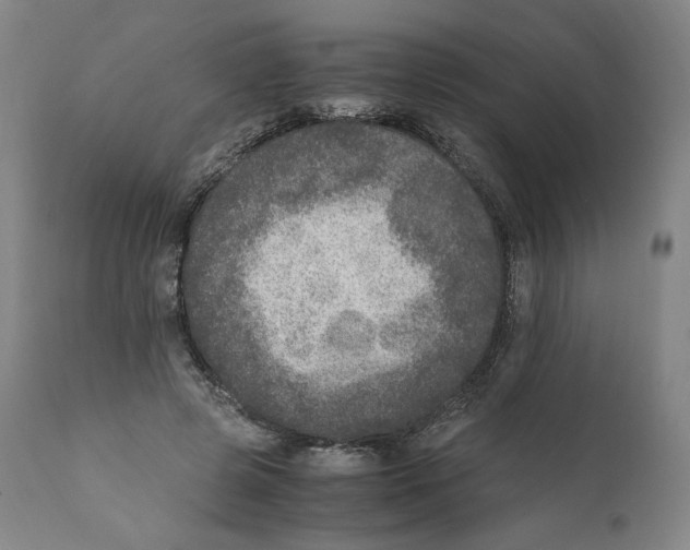 X0000110710545200907101246
