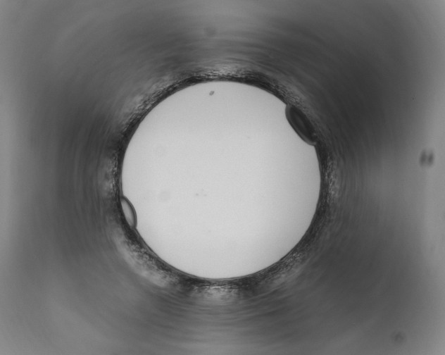 X0000110710546200907101246