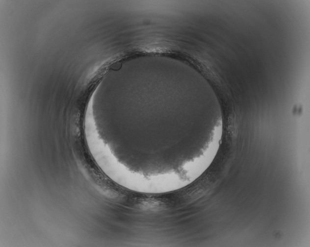 X0000110710547200907101246