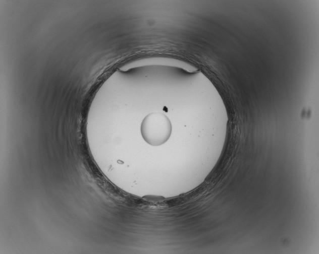 X0000110710548200907101246