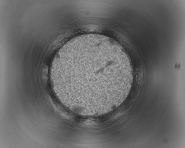 X0000110710550200907101246