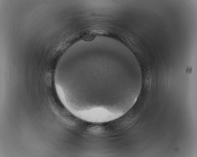 X0000110710551200907101246