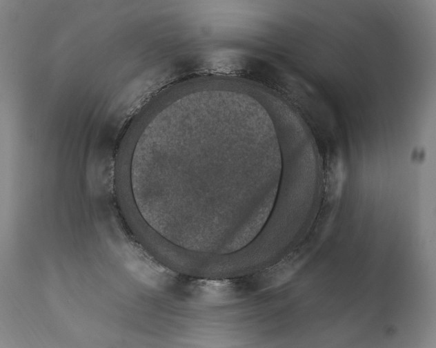 X0000110710552200907101246
