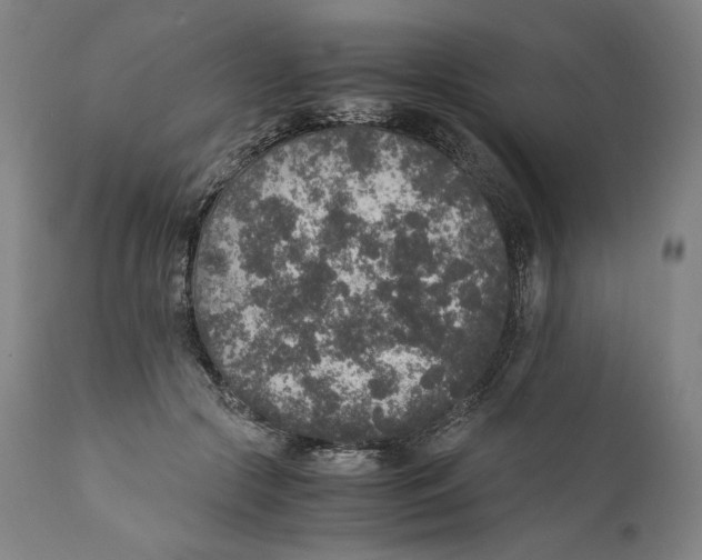 X0000110710553200907101246