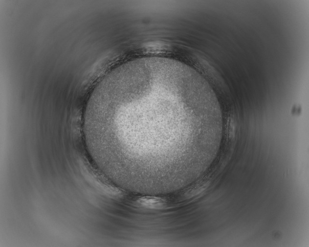 X0000110710557200907101247