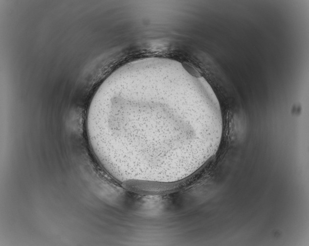 X0000110710562200907101247