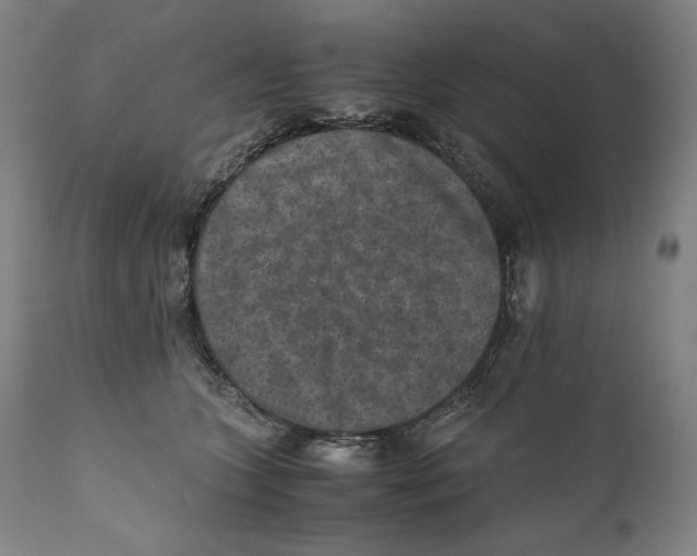 X0000110710563200907101247