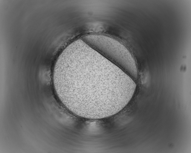 X0000110710564200907101247