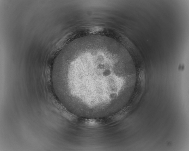 X0000110710565200907101247