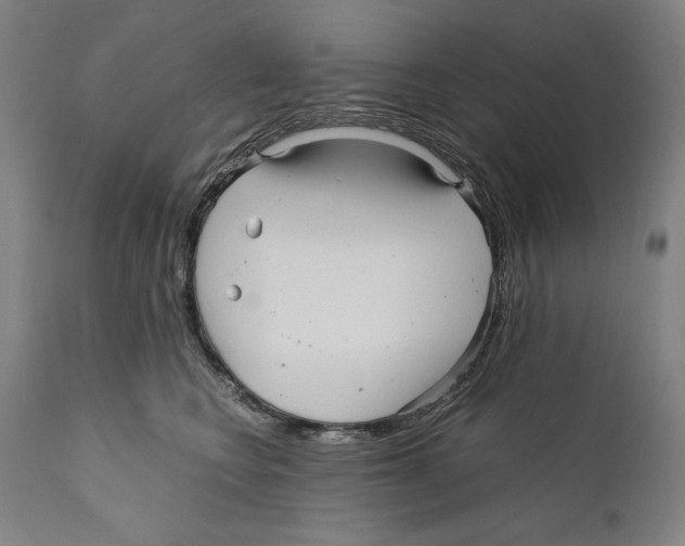 X0000110710566200907101247