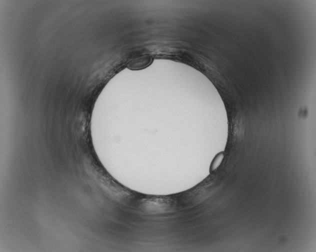 X0000110710567200907101247
