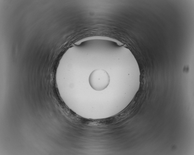 X0000110710568200907101247